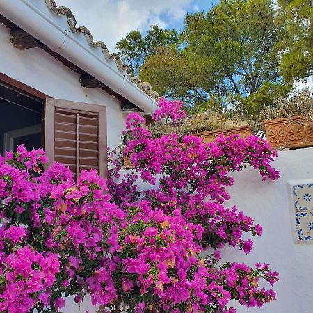 סן ויטו לו קאפו Villa Tonnara מראה חיצוני תמונה