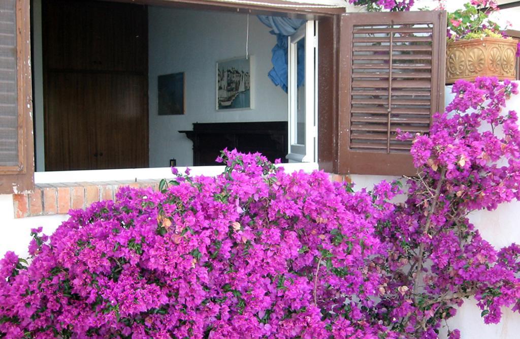 סן ויטו לו קאפו Villa Tonnara מראה חיצוני תמונה